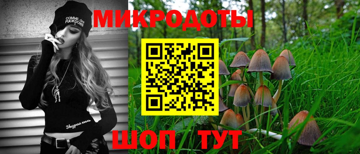 Комсомольск-на-Амуре  где можно купить   Вход с VPN  Галлюциногенные грибы GOLDEN TEACHER 